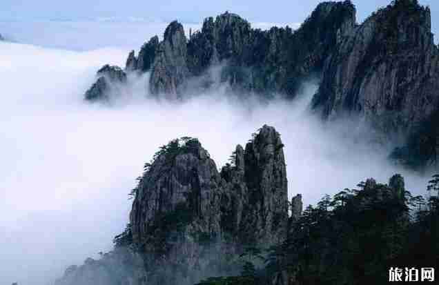 庐山和黄山比较哪一个好玩些 庐山和黄山比较哪一个好玩些