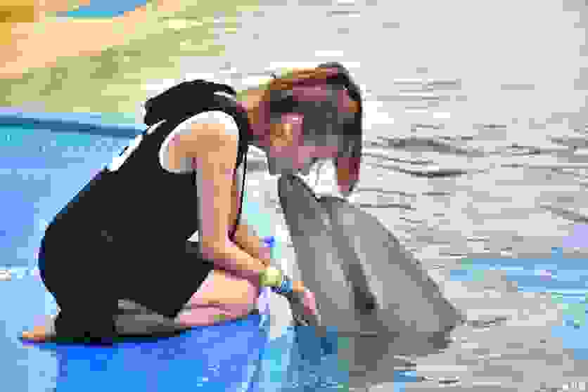 三亚度假村有哪些较好的 三亚度假村有哪些较好的