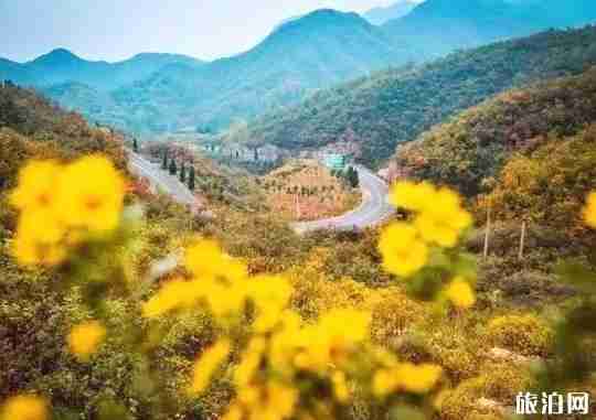 河南最美公路在哪里 河南都有些什么公路 河南最美公路在哪里 河南都有些什么公路
