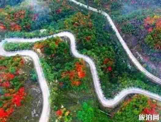 河南最美公路在哪里 河南都有些什么公路 河南最美公路在哪里 河南都有些什么公路