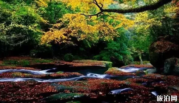 2018日本赏枫时间+地点推荐 日本去哪里赏枫 2018日本赏枫时间+地点推荐 日本去哪里赏枫