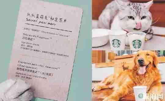 深圳哪些餐厅可以带宠物 深圳可以带宠物的餐厅推荐 深圳哪些餐厅可以带宠物 深圳可以带宠物的餐厅推荐
