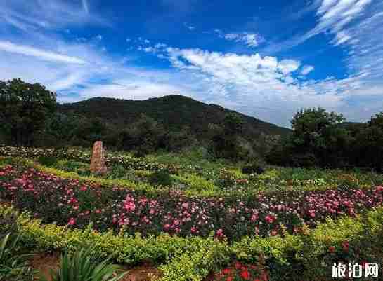 河南2018年教师节免费景点