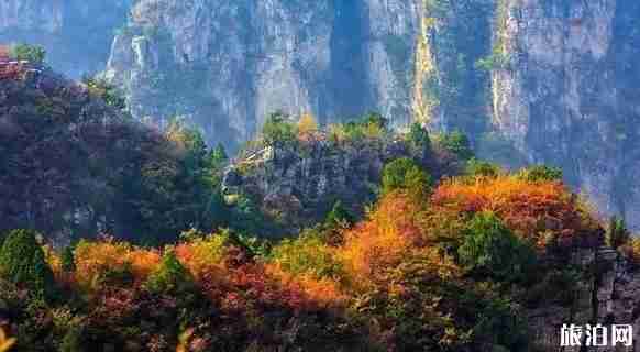 河南2018年教师节免费景点