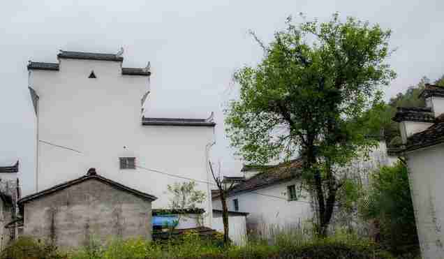 什么时候去婺源旅游最好 什么时候去婺源旅游最好