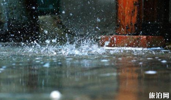 2019南方暴雨受灾情况+形成原因 2019南方暴雨受灾情况+形成原因
