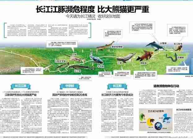 长江白鲟灭绝了吗 2020长江白鲟被宣布灭绝最新新闻 长江白鲟灭绝了吗 2020长江白鲟被宣布灭绝最新新闻