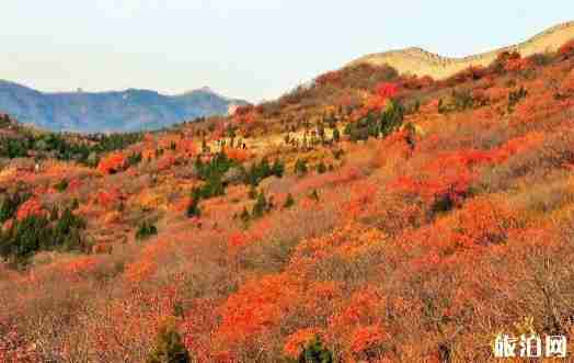 2018四川红叶最佳观赏时间+地点 2018四川红叶最佳观赏时间+地点