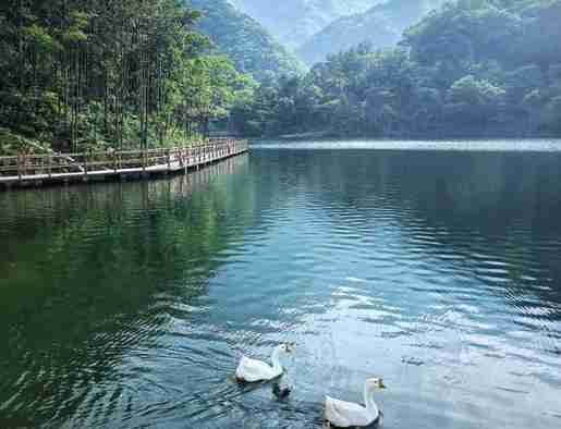 西河景区门票多少钱 西河景区门票多少钱