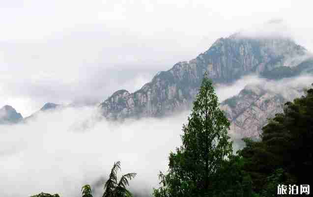黄山客运站时刻表