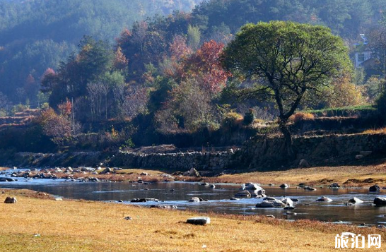 武汉秋冬旅游去哪好 武汉秋冬旅游景点排行榜 武汉秋冬旅游去哪好 武汉秋冬旅游景点排行榜