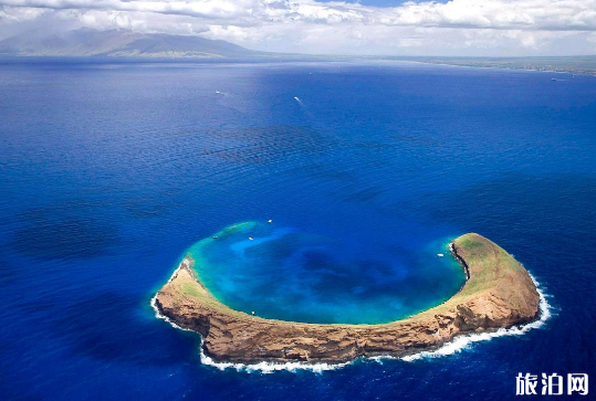 去夏威夷住哪里 去夏威夷住哪里