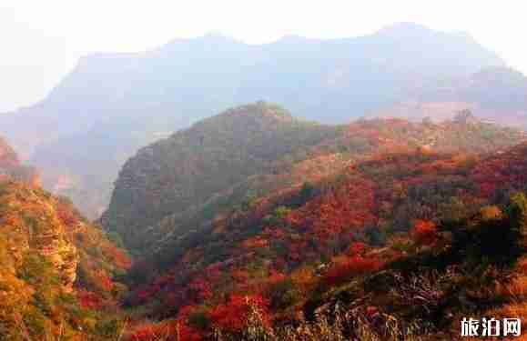 邢台赏红叶最好的地方是哪里