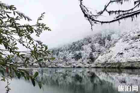 阿坝哪里有雪 阿坝哪里可以耍雪