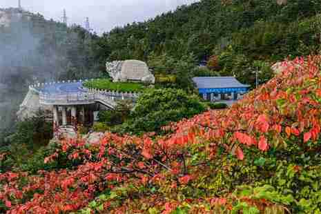 2018青岛崂山门票优惠政策 崂山旅游直通车信息 2018青岛崂山门票优惠政策 崂山旅游直通车信息