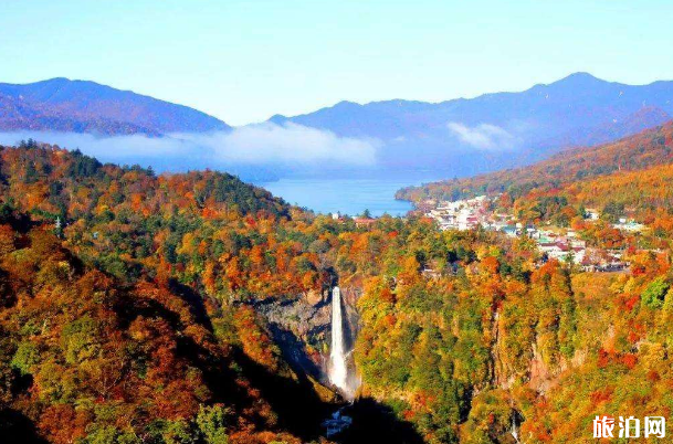 2019登封嵩山红叶最佳观赏时间+游玩路线