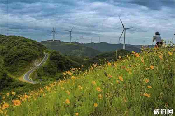 宁波横溪白岩山风车公路怎么去 地址+交通