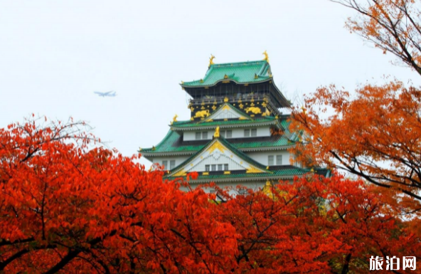 日本列车有哪些类型 日本列车有哪些类型