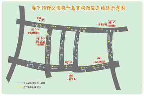 2018-2019上海金山枫叶岛免费接驳车地点 赏枫叶交通指南 2018-2019上海金山枫叶岛免费接驳车地点 赏枫叶交通指南