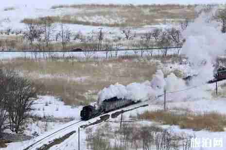 冬季去北海道看雪地点推荐