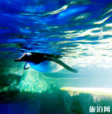 2019太原海立方海洋公园门票+交通+地址 2019太原海立方海洋公园门票+交通+地址