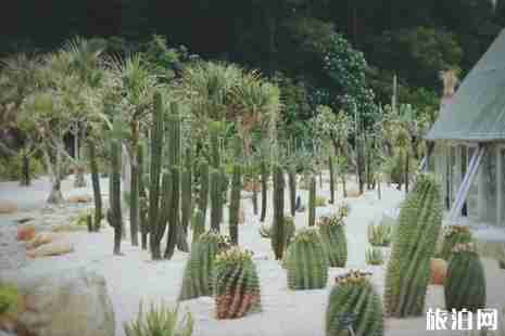 2019深圳仙湖植物园最新限行时间+罚款标准 2019深圳仙湖植物园最新限行时间+罚款标准