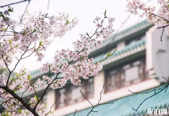 2019旅行时间表国内 去哪旅游比较好玩 2019旅行时间表国内 去哪旅游比较好玩