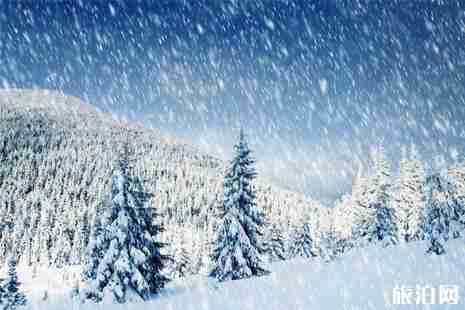 哪些地方下雪了