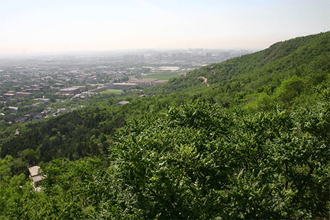 北京八大处游玩攻略(门票+开放时间+地址交通指南) 北京八大处游玩攻略(门票+开放时间+地址交通指南)