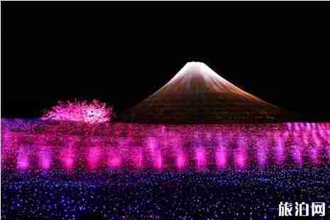 圣诞节日本灯光秀时间+门票+地点