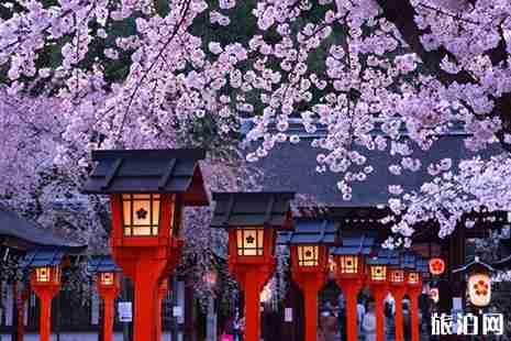 2019日本樱花季是什么时候 哪里赏樱花好 2019日本樱花季是什么时候 哪里赏樱花好