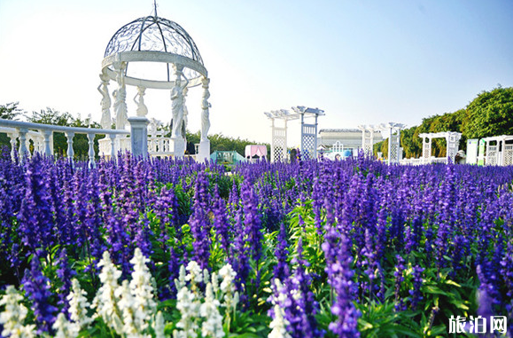 2019元旦广州花展门票价格+地点+时间+交通 2019元旦广州花展门票价格+地点+时间+交通