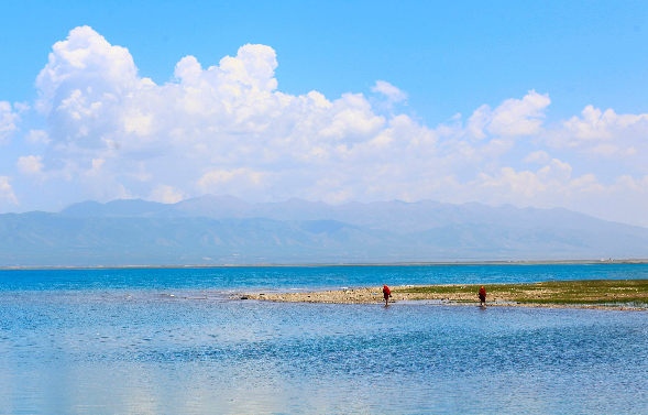 西宁怎么去青海湖 青海湖旅游交通攻略 西宁怎么去青海湖 青海湖旅游交通攻略