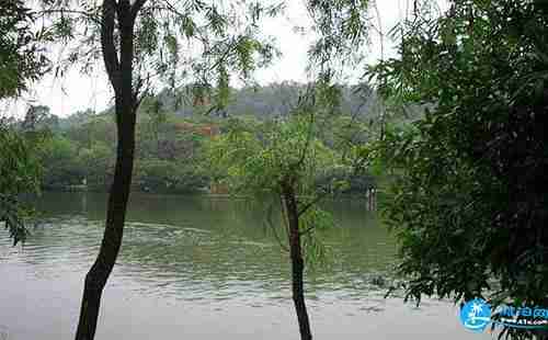 深圳水山公园附近有地铁站吗 水山公园怎么去 深圳水山公园附近有地铁站吗 水山公园怎么去