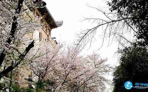 武汉大学附近的地铁站有哪些 武汉大学附近的地铁站有哪些