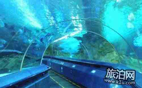 去太平洋海底世界怎么走 太平洋海底世界停车场在哪里 去太平洋海底世界怎么走 太平洋海底世界停车场在哪里