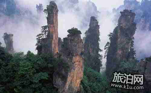 张家界停车场收费标准是什么 张家界停车场在哪里 张家界停车场收费标准是什么 张家界停车场在哪里