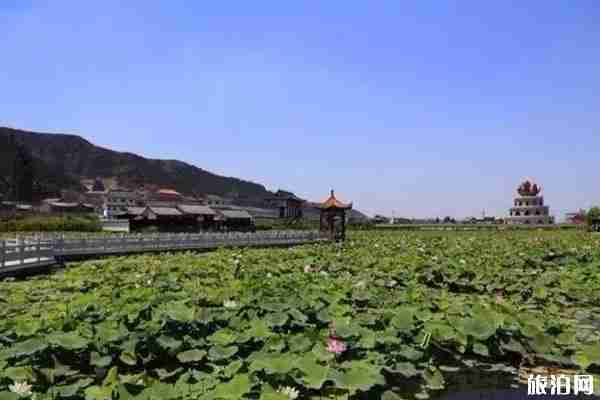 夏季洛阳赏花地点推荐 洛阳赏花攻略2020