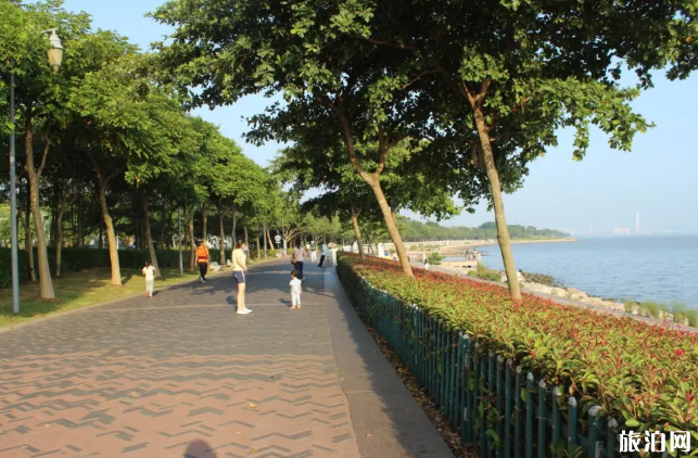 5月起深圳湾公园禁行时间调整