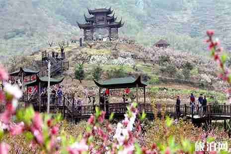 2019宁海东山桃花节3月22日开启
