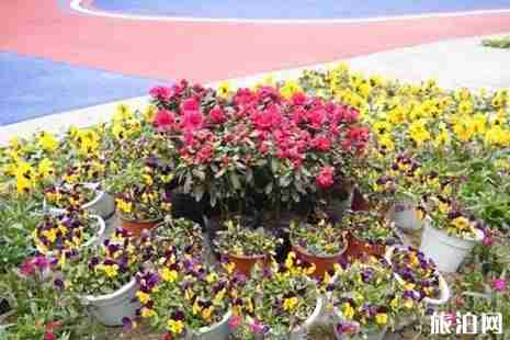 2019成都地铁赏花指南
