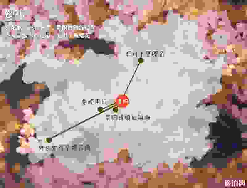 2019贵州赏花时间表 四月贵州哪里适合赏花 2019贵州赏花时间表 四月贵州哪里适合赏花
