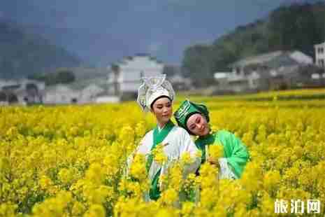 舟山赏花地方攻略