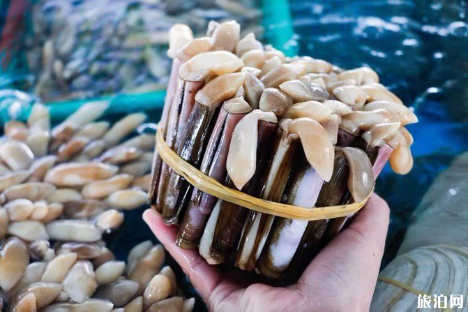 海口自驾游攻略及最佳路线 海口自驾游攻略及最佳路线