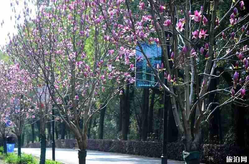 2019湖南省植物园赏花时间表