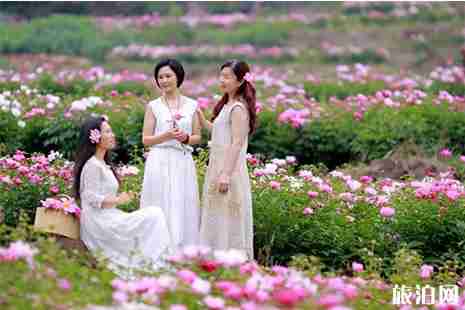 2019四川中江玉兴镇凡龙花千谷赏花节汉服活动