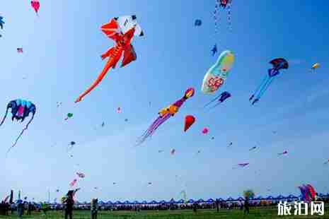 2019济南风筝节时间+地点+活动介绍