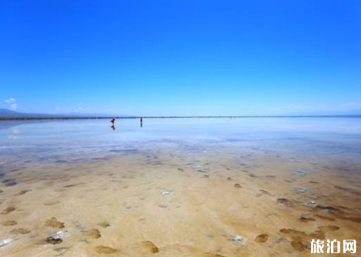 青海湖交通方式怎么选择 青海湖交通方式怎么选择