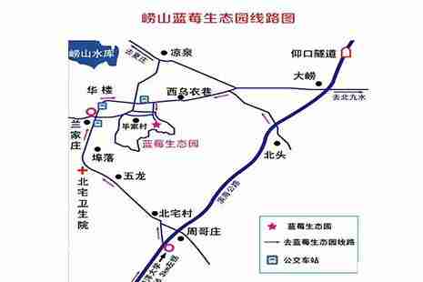 2019崂山蓝莓采摘 附价格信息