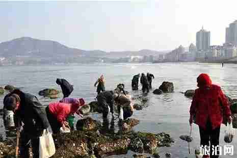 山东威海哪里可以赶海找海鲜